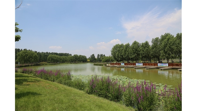 標(biāo)題：包頭市民公園
瀏覽次數(shù)：1559
發(fā)表時(shí)間：2020-10-16