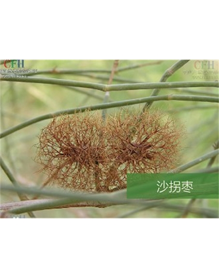 標(biāo)題：名貴樹種
瀏覽次數(shù)：1431
發(fā)表時間：2020-10-17