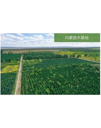 標(biāo)題：苗木基地
瀏覽次數(shù)：1560
發(fā)表時間：2020-10-17
